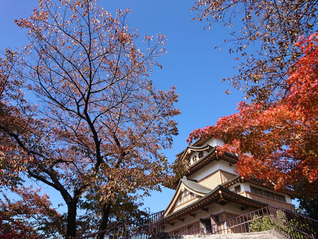 紅葉と諏訪高島城