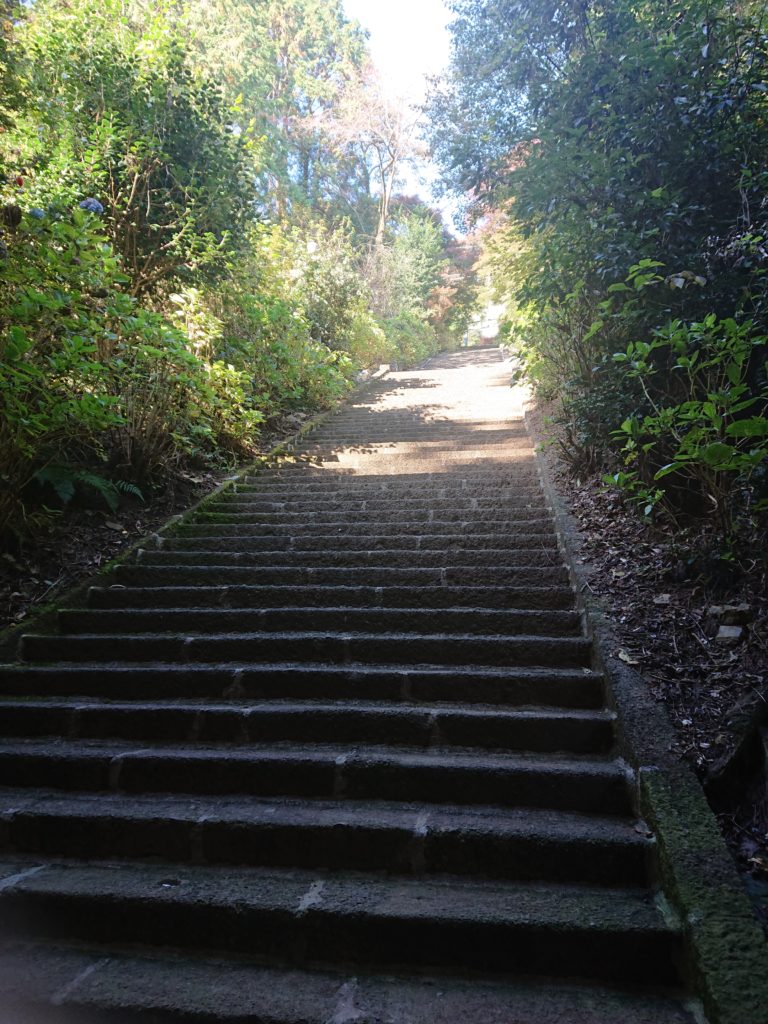 髄神門から続く階段